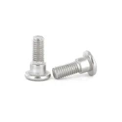 Moto-Master, Skiv Bult M8x22 1st, BAK FRAM